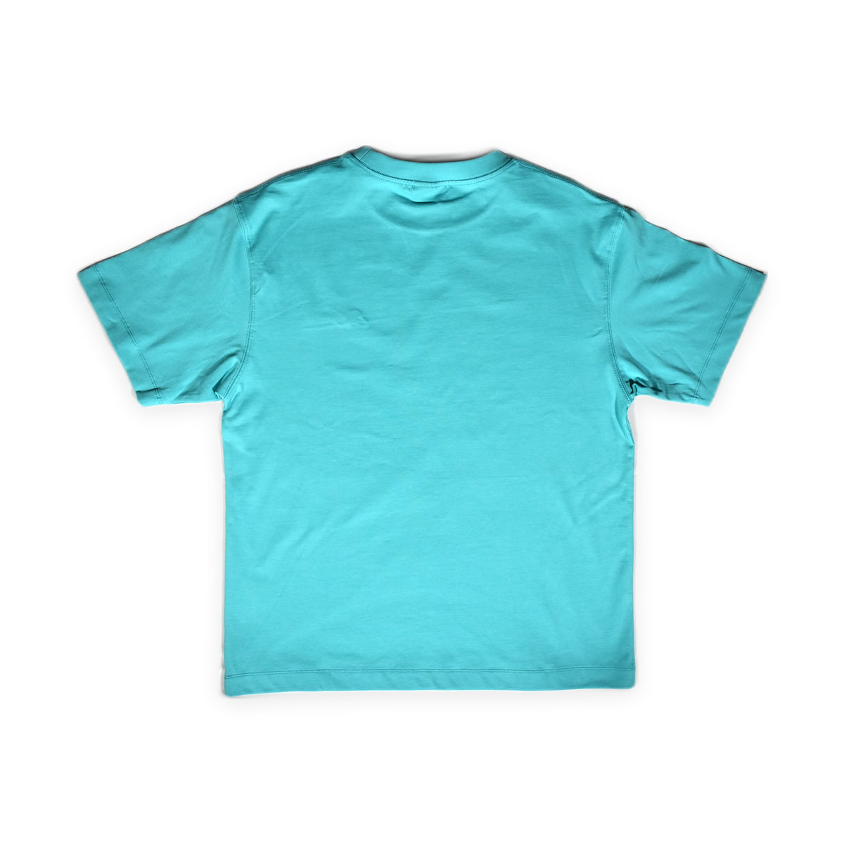 青色  Tシャツ